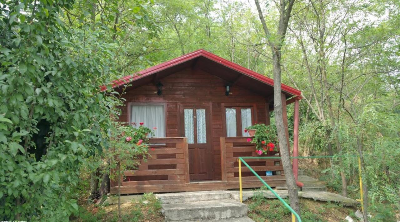 Villa Gratca Nr 164 Orşova Extérieur photo