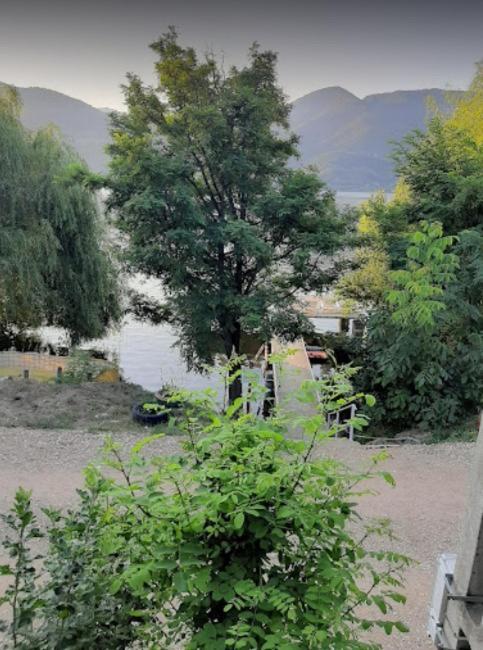 Villa Gratca Nr 164 Orşova Extérieur photo
